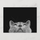 Buscar miradas postales Gatos