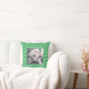 Buscar perro del labrador retriever cojines Perrito