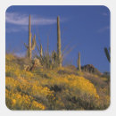 Buscar pipe pegatinas Arizona