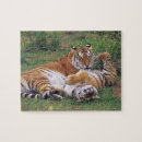 Buscar tigre de bengala puzzles Naturaleza