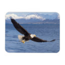 Buscar depredador imanes Animal