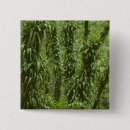 Buscar costa rica chapas Tropical