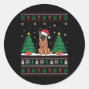 Buscar malinois pegatinas Santa claus