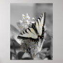Buscar sutil posters Gris