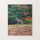 Buscar ciervos puzzles Bosque