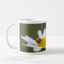 Buscar amuleto tazas Suerte