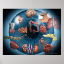 Buscar oficina médica posters Vista frontal