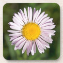 Buscar cordillera posavasos Flor