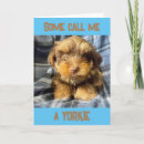 Buscar yorkshire terrier tarjetas Familia
