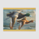 Buscar diseño la textura de papel de seda Elegante