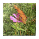 Buscar zinnia azulejos Naturaleza