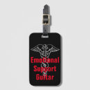 Buscar guitarras accesorios Divertido