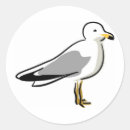Buscar gaviotas pegatinas General y unisex