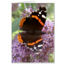 Buscar buddleia Animales