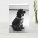 Buscar perro de cocker spaniel tarjetas Madre