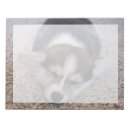 Buscar pet blocs de notas Puppy