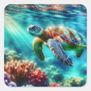 Buscar tortuga pegatinas Vida marina