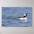 Buscar imbéciles posters Naturaleza