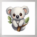 Buscar koala posters Marsupial