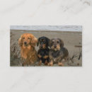 Buscar dachshund tarjetas de visita Perrito