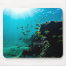 Buscar fish alfombrillas de raton Acuático