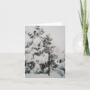 Buscar narnia tarjetas Nieve