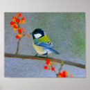 Buscar pájaros rojos posters Naturaleza