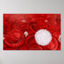 Buscar sangre arte Blanco