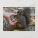 Buscar amor loco postales Divertido
