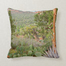 Buscar cactus del desierto cojines General y unisex