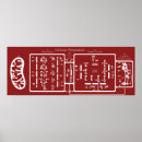 Buscar biología celular posters Mitocondria