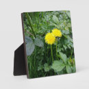 Buscar hierba placas fotograbadas Planta