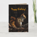 Buscar critter tarjetas Ardilla