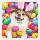 Buscar perro de pascua postales Animal lindo