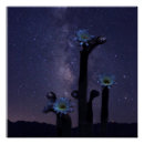 Buscar desierto de mojave posters Cactus