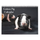 Buscar indio calendarios Fotografía