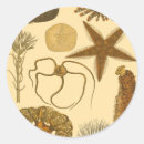 Buscar submarino pegatinas Estrella