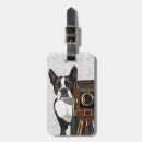 Buscar boston terrier accesorios Dog