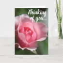 Buscar que luces rosadas tarjetas General y unisex