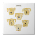 Buscar perro azulejos Divertido