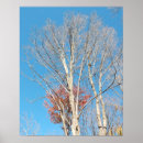 Buscar árbol desnudo posters Árboles