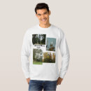 Buscar roble ropa Para él