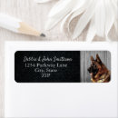 Buscar pastor alemán etiquetas Gsd