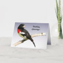 Buscar cardinalidae Pecho