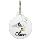 Buscar palomas collares Pájaro
