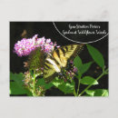 Buscar porteros postales Para todos