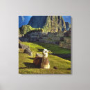 Buscar machu picchu lienzos Llama
