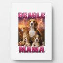Buscar beagle placas fotograbadas Perros