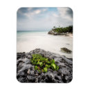 Buscar mexico imanes Tulum