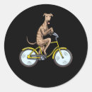 Buscar bici pegatinas Divertido